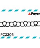Payen Spark Plug Tube Seal Set – KV4144