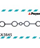 Bendix Brake Shoes – BS5238