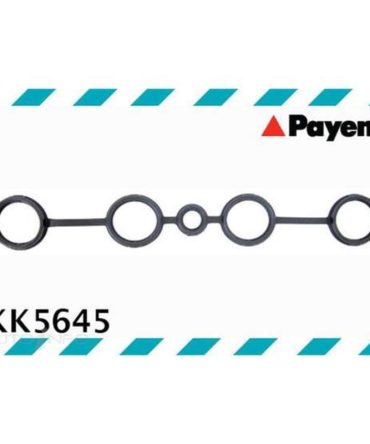 Payen Spark Plug Tube Seal – KK5645