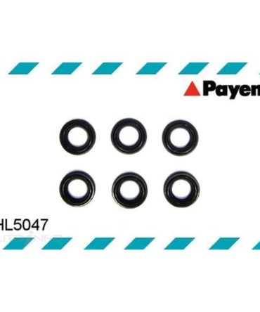 Payen Spark Plug Tube Seal Set – HL5047
