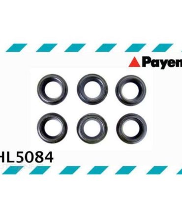 Payen Spark Plug Tube Seal Set – HL5084