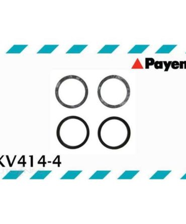 Payen Spark Plug Tube Seal Set – KV4144