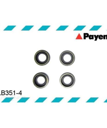Payen Spark Plug Tube Seal Set – LB3514